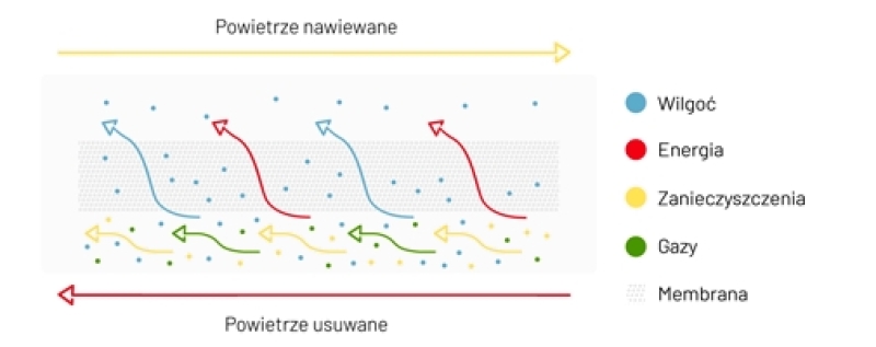 schemat działania iZZi 402